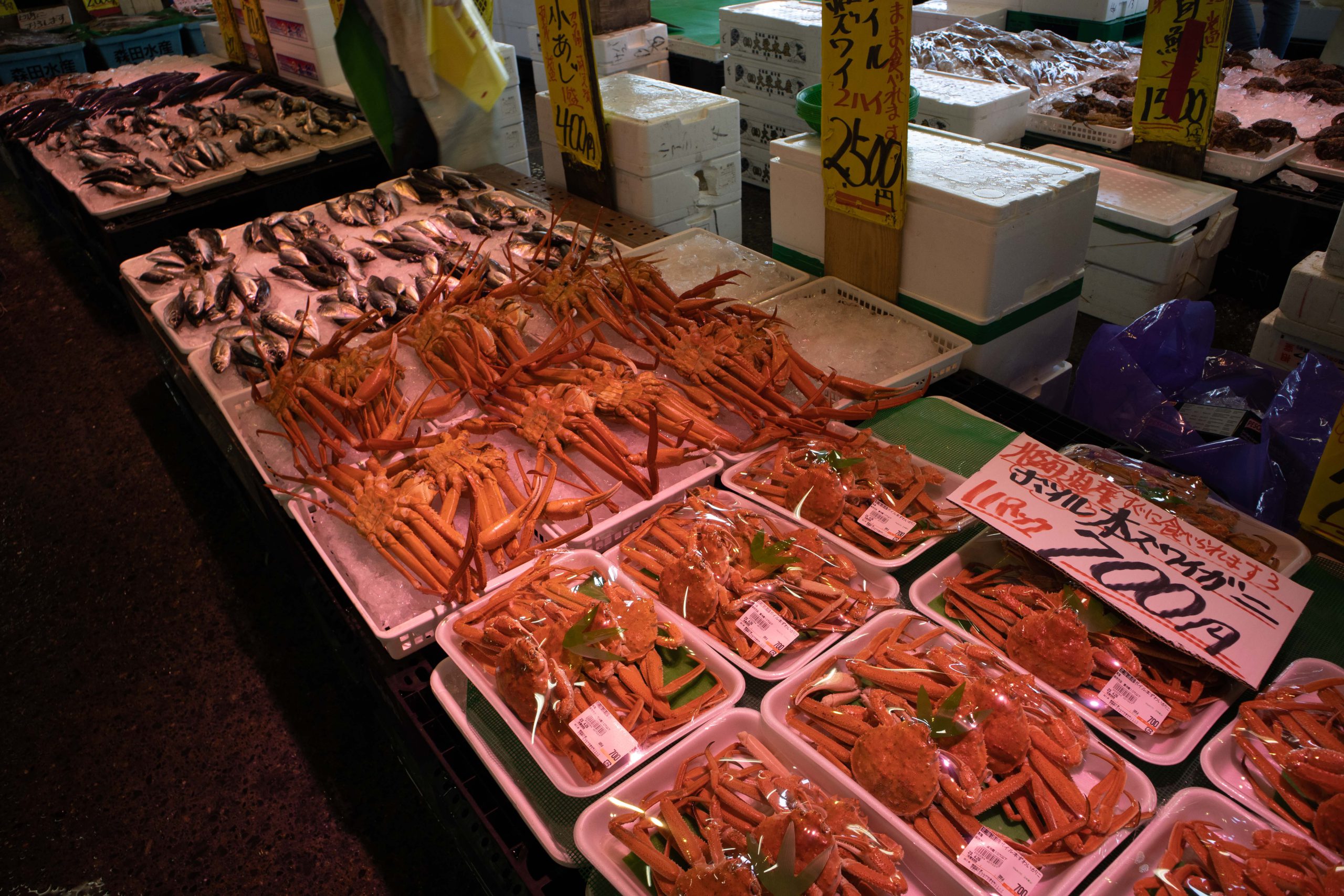 お魚市場　1　230423 (1 - 1)